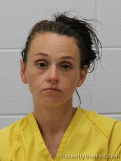 Mugshot of AMBER LEE DAVIDSON SANDERS booked in Franklin County, Illinois on May 4, 2026