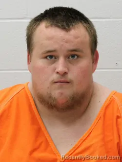 Mugshot of STEPHEN MAURICE DAVIS booked in Franklin County, Illinois on April 23, 2026