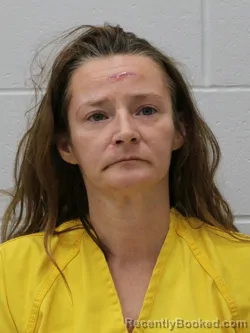 Mugshot of DANIELLE R BAUER