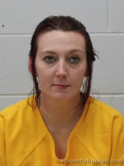 Mugshot of BRITNY LEE SUTTON booked in Franklin County, Illinois on June 29, 2026