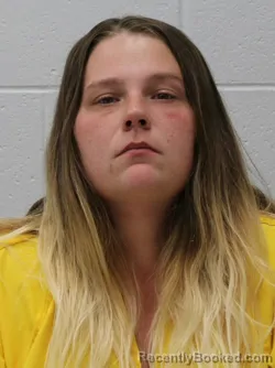 Mugshot of JOHNA LEEANN HUTTON booked in Franklin County, Illinois on June 3, 2026