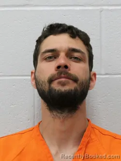 Mugshot of TYLER KEONI DAVIS-MOONEY booked in Franklin County, Illinois on April 2, 2026