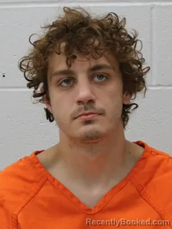 Mugshot of ETHAN MICHAEL WILLIAMS booked in Franklin County, Illinois on July 14, 2026