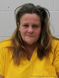 Mugshot of ELIZABETH ANN HAYES