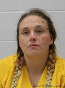 Mugshot of TONI LYNN FAISON booked in Franklin County, Illinois on July 3, 2026