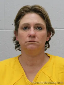 Booking photo from Franklin County, Illinois