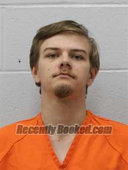 Booking photo from Franklin County, Illinois