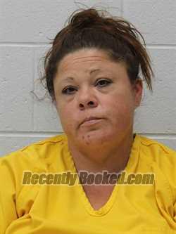 Booking photo from Franklin County, Illinois