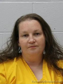 Mugshot of Lynsey M Followell booked in Franklin County, Illinois on October 26, 2026