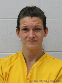 Mugshot of CARLA S WHITFIELD booked in Franklin County, Illinois on April 24, 2026