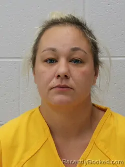 Mugshot of NICOLE A WUJEK booked in Franklin County, Illinois on June 3, 2026