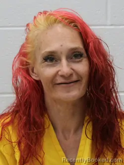 Mugshot of MICHELLE L RAGSDALE booked in Franklin County, Illinois on April 23, 2026