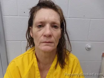 Mugshot of TRACY JO FILKINS MATHIS