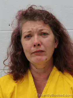 Mugshot of KELLY ANNE WEBB booked in Franklin County, Illinois on May 17, 2026