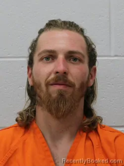 Booking photo from Franklin County, Illinois