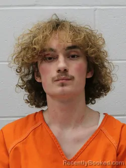 Mugshot of BYRON M WILLIAMS