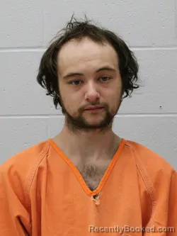 Booking photo from Franklin County, Illinois