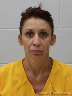 Mugshot of JESSICA ANN HOLMES booked in Franklin County, Illinois on June 23, 2026