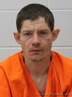 Mugshot of LUKE ALLEN NEELEY