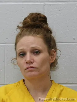 Mugshot of TRICIA ANN MELVIN booked in Franklin County, Illinois on May 5, 2026
