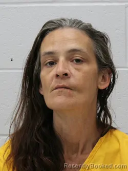 Mugshot of JENNIFER DIANE BLOODWORTH booked in Franklin County, Illinois on May 13, 2026