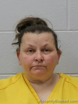 Mugshot of SHANNON LEA SOLOMAN booked in Franklin County, Illinois on June 22, 2026