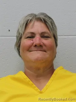 Mugshot of DAWN D ABBYSON booked in Franklin County, Illinois on June 26, 2026