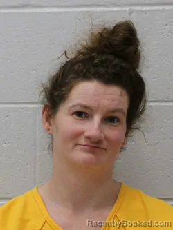 Mugshot of JEANELLEN HAYES booked in Franklin County, Illinois on July 6, 2026