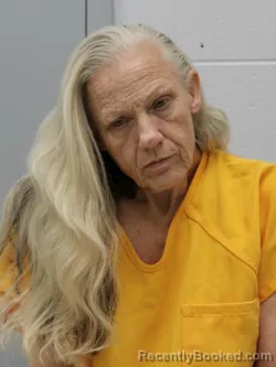 Mugshot of LISA GAYE WILLIAMS booked in Franklin County, Illinois on July 8, 2026
