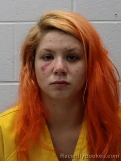 Mugshot of Ashlynn Jennae Upton booked in Franklin County, Illinois on September 2, 2026