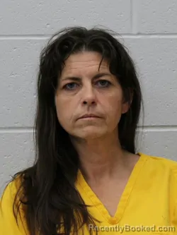 Mugshot of Janice M Wisley booked in Franklin County, Illinois on October 22, 2026