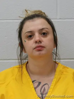 Mugshot of DENNI JO DURBIN booked in Franklin County, Illinois on April 22, 2026