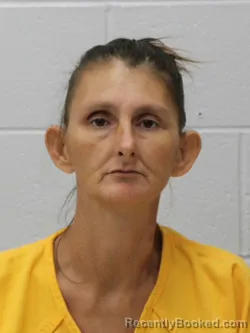 Mugshot of AMY JO HOWELL booked in Franklin County, Illinois on August 2, 2026