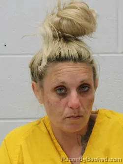 Mugshot of HARLI REASHELL RHINE booked in Franklin County, Illinois on August 1, 2026