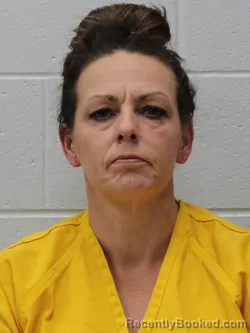 Mugshot of STEPHANIE DANIELLE BALDWIN