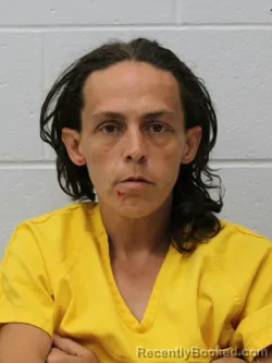Mugshot of Whitney Renee Smith booked in Franklin County, Illinois on September 10, 2026