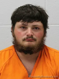 Mugshot of STETSON LEWIS ELLIS booked in Franklin County, Illinois on April 13, 2026