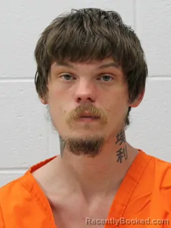 Mugshot of ANTHONY ISAAC LEVANDOWSKI booked in Franklin County, Illinois on April 3, 2026