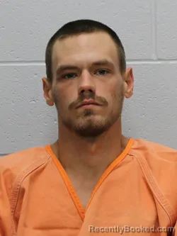 Booking photo from Franklin County, Illinois