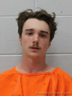Mugshot of TRENTON R BORDERS