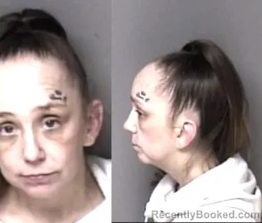 Mugshot of Christen Brandy Myers Crosby