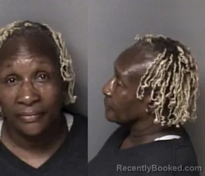 Mugshot of Teresa Ann Sullivan booked in Gaston County, North Carolina on August 6, 2026