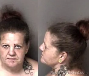 Mugshot of Lori Ann Bright booked in Gaston County, North Carolina on March 9, 2026