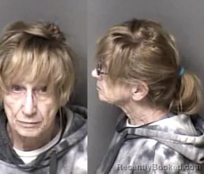 Mugshot of Cathy Ellis Stephens