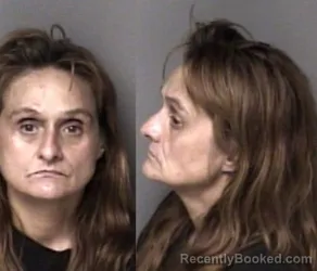Mugshot of Dana Joy Teague booked in Gaston County, North Carolina on August 14, 2026