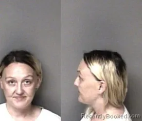 Mugshot of Janna Leigh Brown booked in Gaston County, North Carolina on August 23, 2026