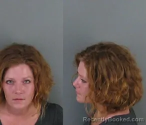 Mugshot of Brandy Nicole Ramsey booked in Gaston County, North Carolina on June 16, 2026