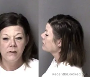 Mugshot of Lisa Suzanne Webb booked in Gaston County, North Carolina on March 24, 2026