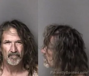 Mugshot of Dana Nile Johnson