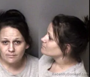 Mugshot of Tammy Darlene Eller-Hale booked in Gaston County, North Carolina on June 3, 2026